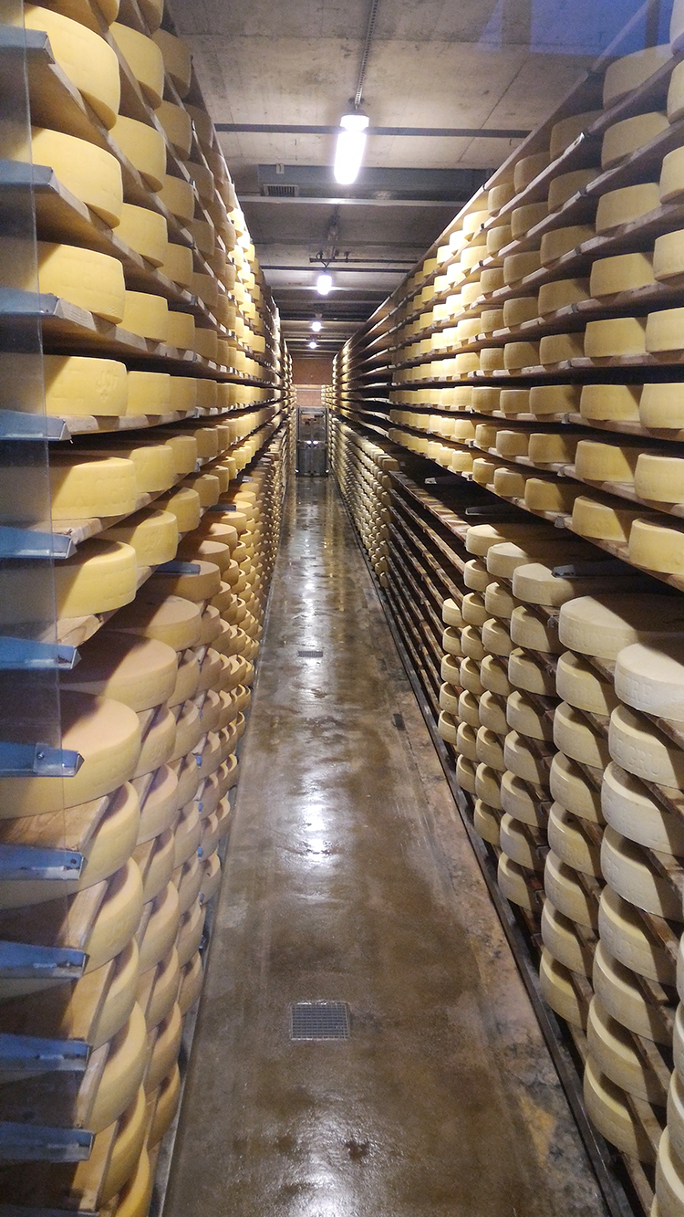 グリュイエールのチーズ工場