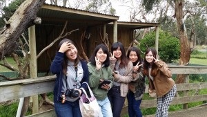 動物園に立ち寄り、オーストラリアの動物たちとご対面。コアラが後ろに！？
